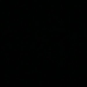 Meet your Posher, Polly